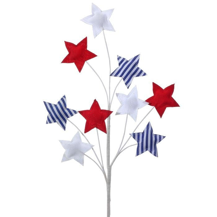 24" Americana Star Spray X
