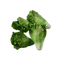 Faux Petite Spring Lettuce Plant Bag/4