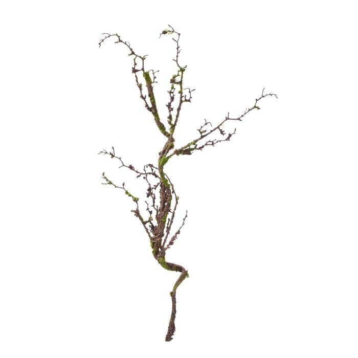 41" Mossed Twig Branch