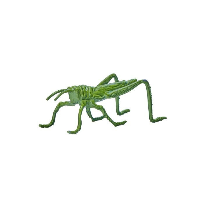 5.75" Cast Iron Grass Hopper