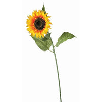 Sunflower Stem 34