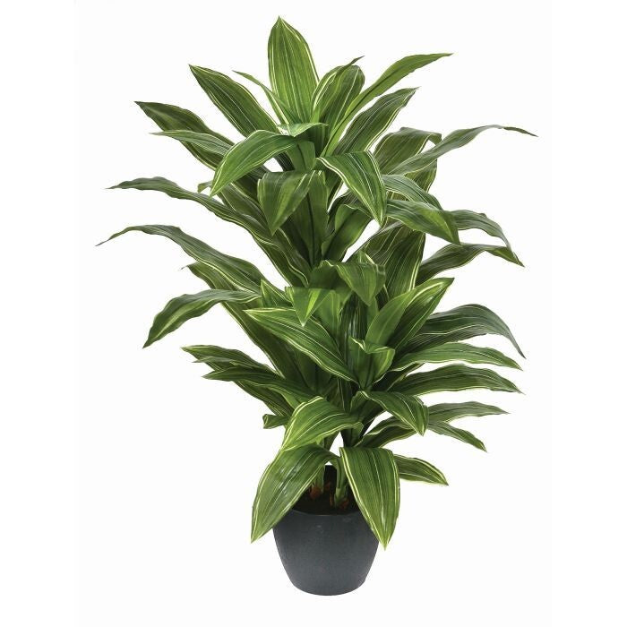 Potted Natural Touch Yucca Plant X 2, 42"