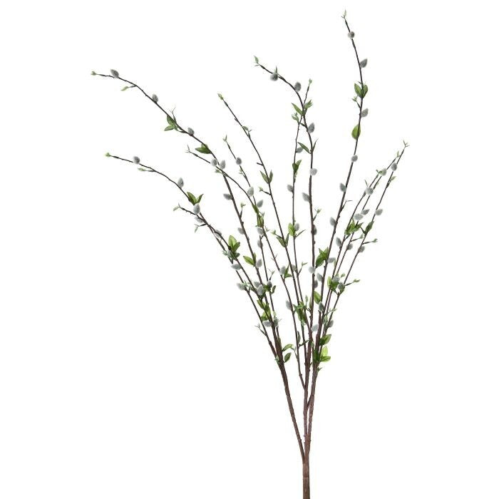 Pussy Willow Bush X 12 ,37"