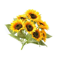 Sunflower Bush X7 17