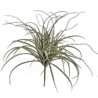 Plastic Curly Grass Bush 20