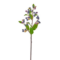 Plastic Blueberry Spray 23