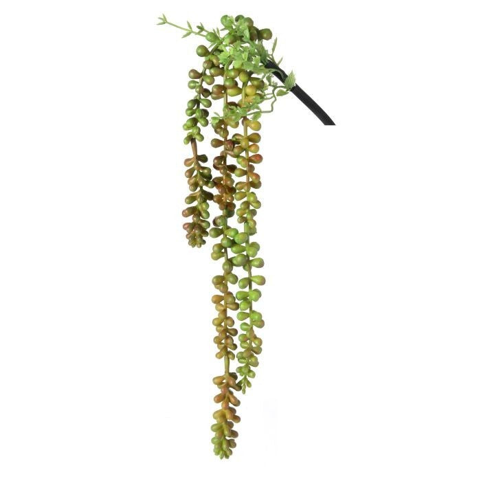 Plastic Hanging Berry Succulent X3 18.5