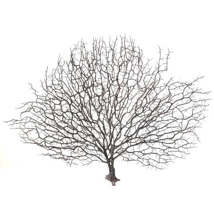 Plastic Coral Fan 17"