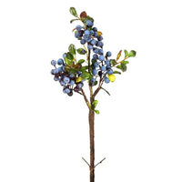 Blueberry Cluster X3 18