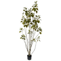 6' Ptd Smoke Tree X357 Lv