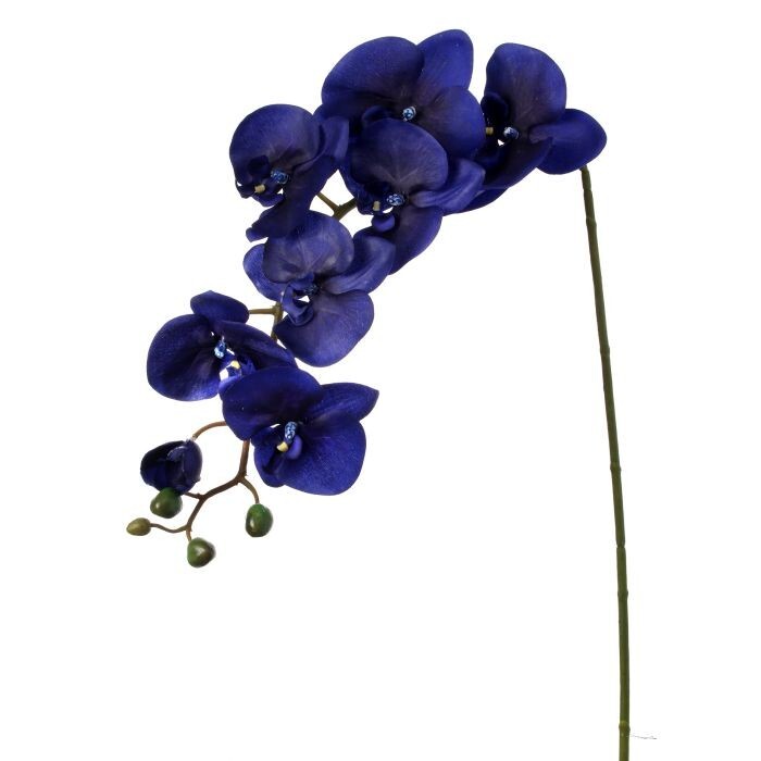 38" Phalaenopsis Stem X8 +4 Bud