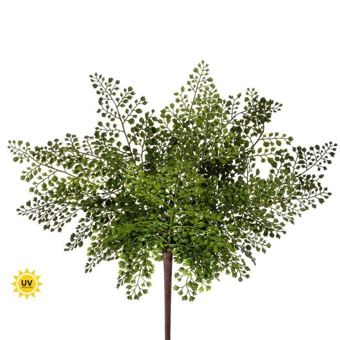 17" Pl Uv Nat Touch Maidenhair Fern