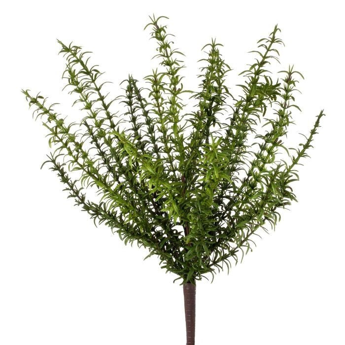 16" Pl Natural Touch Aspargarus Fern