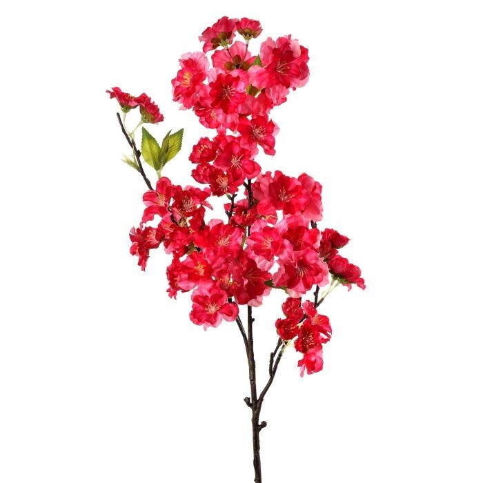 Sweet Cherry Blossom Pick 18
