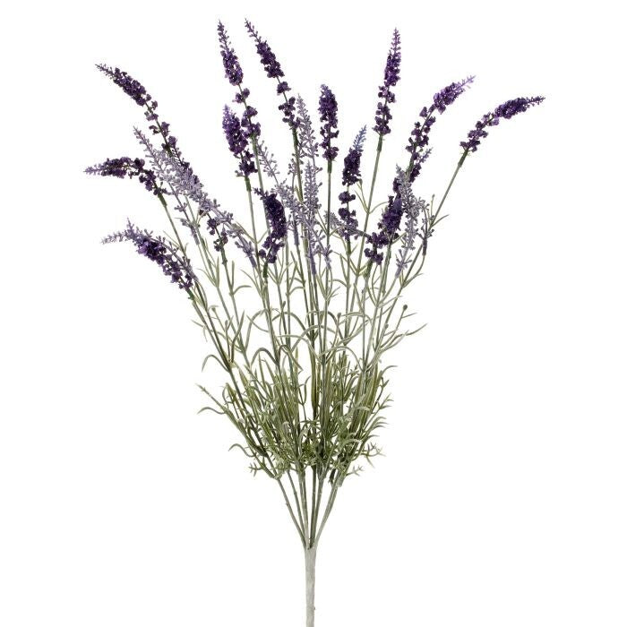 English Lavender Bush X9 22"