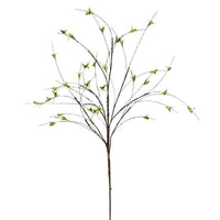 Greening Willow Twig Spray 38