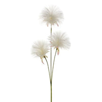 Dandelion Spray X 3 28