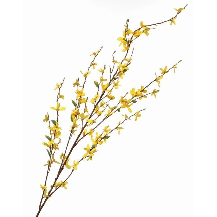 Forsythia Branch X5 52"