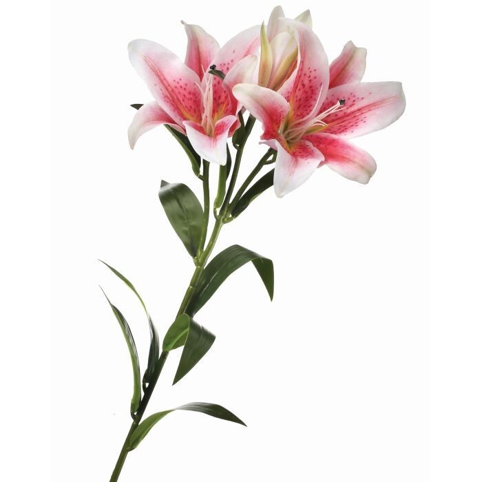 Natural Touch Lily X2 +Bud 34"