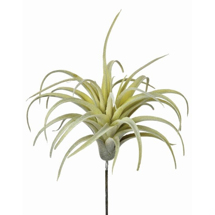 Plastic Air Plant 5"