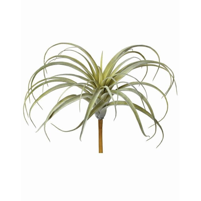 Plastic Air Plant 10"