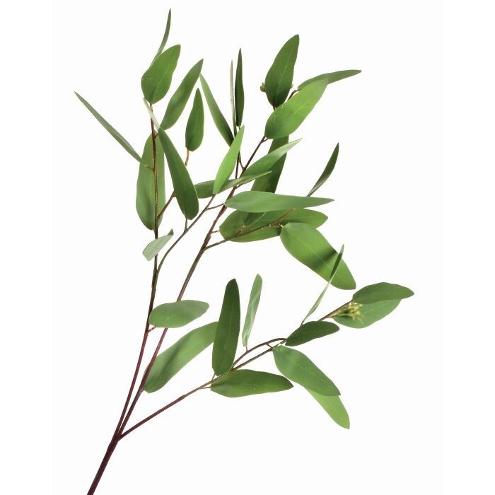 Pe Seeded Long Eucalyptus Spray X3 31"