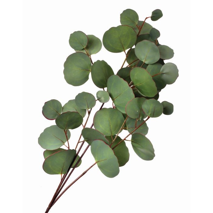 Pe Silver Dollar Eucalyptus Spray X4 30"