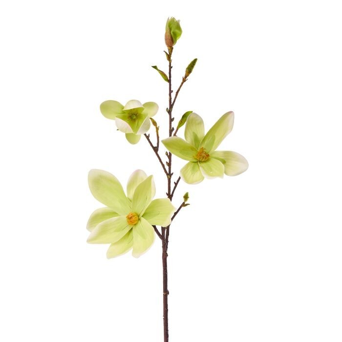 Eva Saucer Magnolia Spray 34"