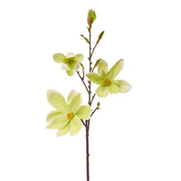 Eva Saucer Magnolia Spray 34
