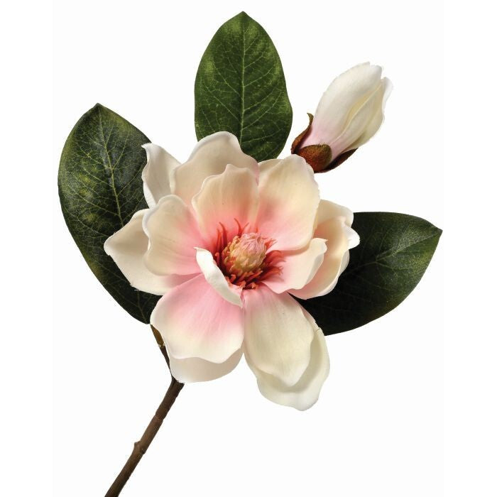 Magnolia & Bud Pick 14"
