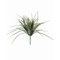 Pl. Fresh Touch Grass Bush 19