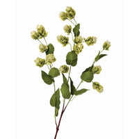 Hops Spray X 15 39