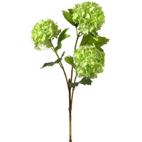 Viburnum Spray X3 33