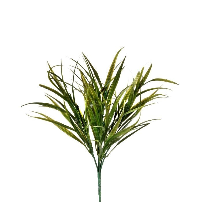 Pl. Vanilla Grass Bush 14"