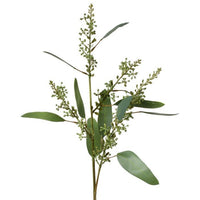 Long Seed Finger Eucalyptus Spray 28