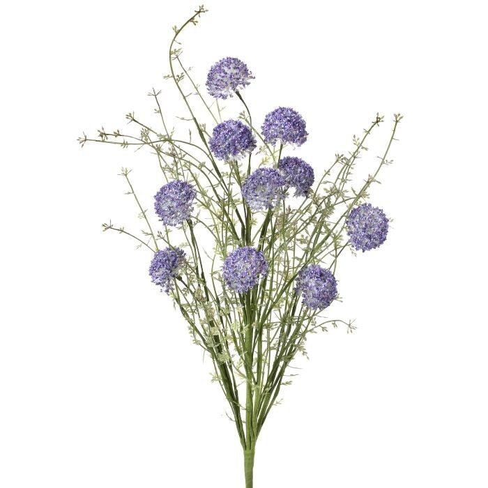 Pl.Wild Allium Bush X10 24"
