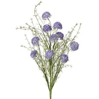 Pl.Wild Allium Bush X10 24