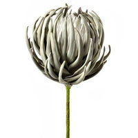 Foam Artichoke Succulent Spay 36