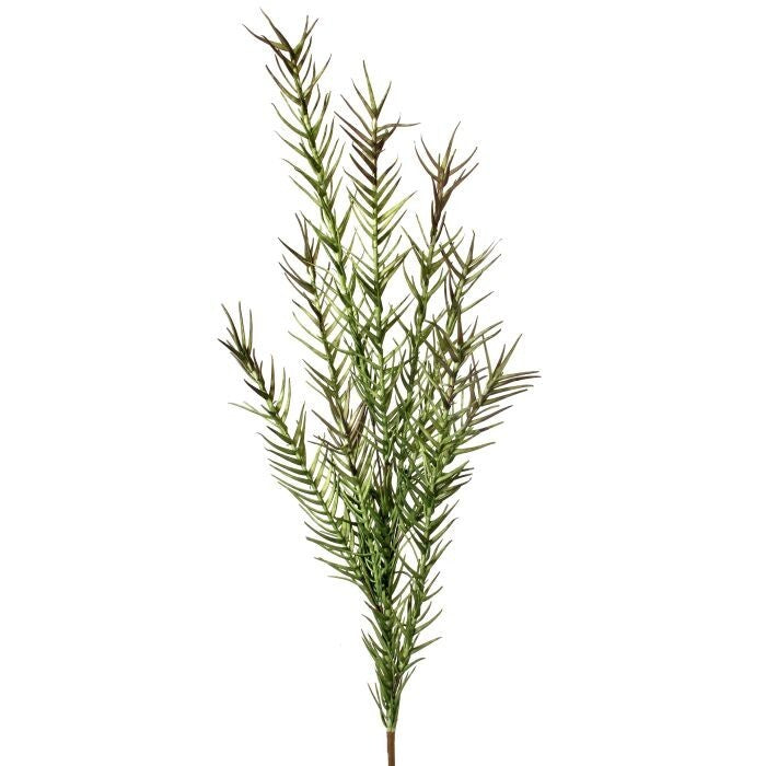 Foam Feather Grass Succulent 43"