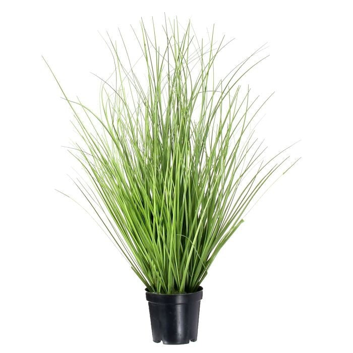 Ptd Pvc Herb Grass 15"