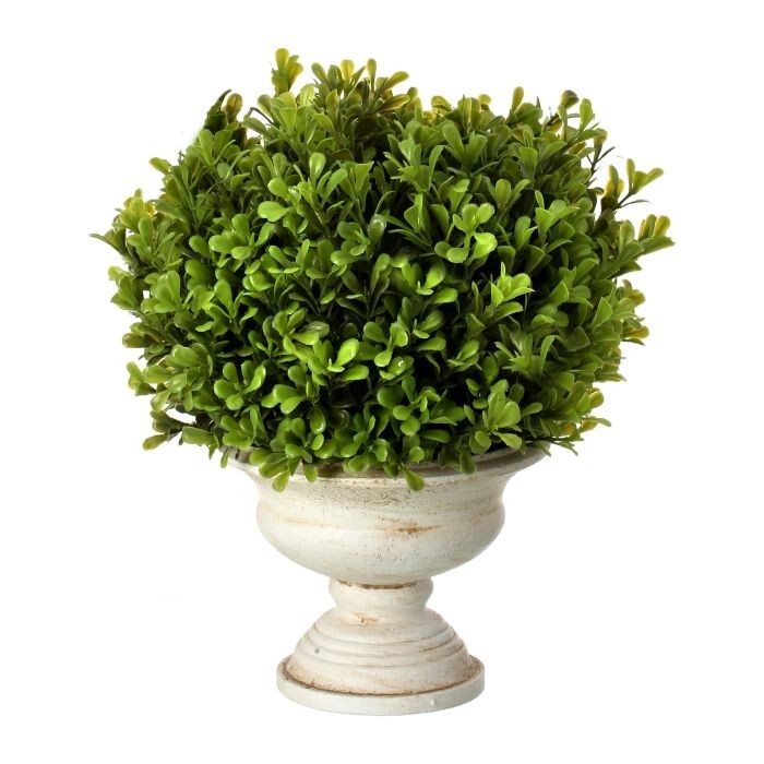 Pl.Ptd Spring Boxwood Ball In Urn 11"