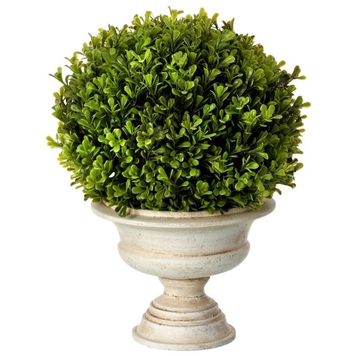 Pl.Ptd Spring Boxwood Ball In Urn 16"