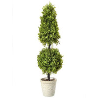 Pl.Ptd Spring Boxwood Ball Cone Topiary 36