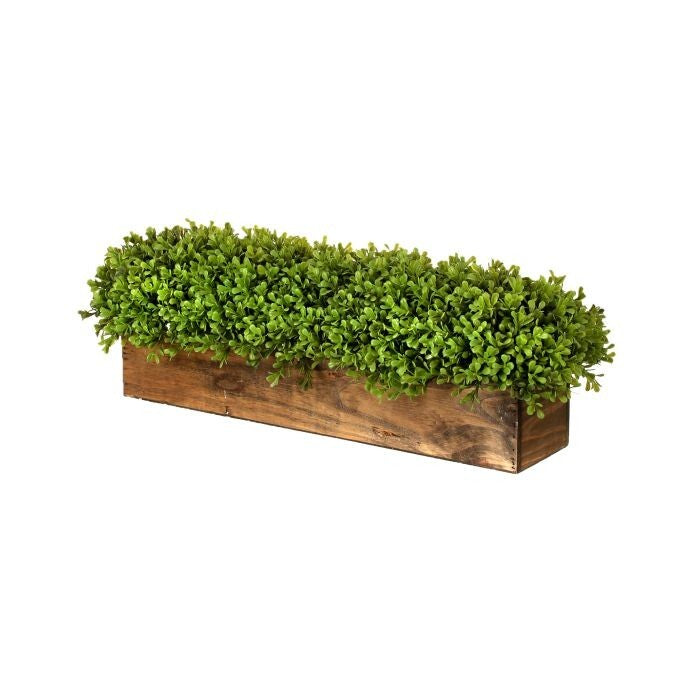Pl.Spring Boxwood Rect Centerpiece N Wood 26"