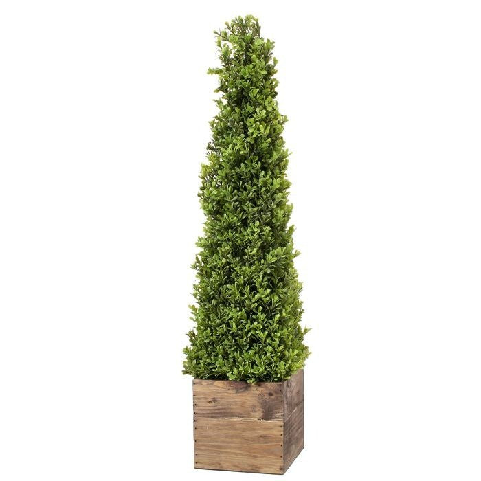 Pl.Spring Boxwood Obelisk In Wood 36"