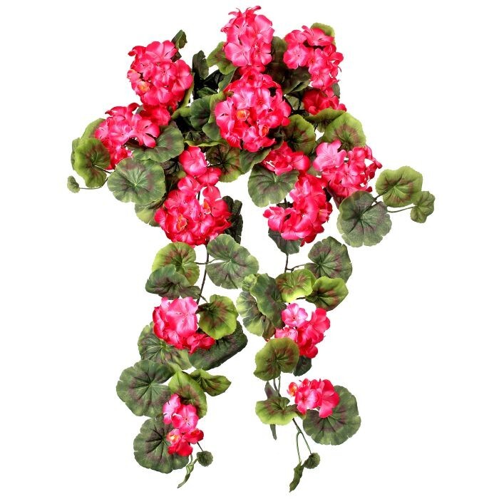Hanging Geranium X15  32"