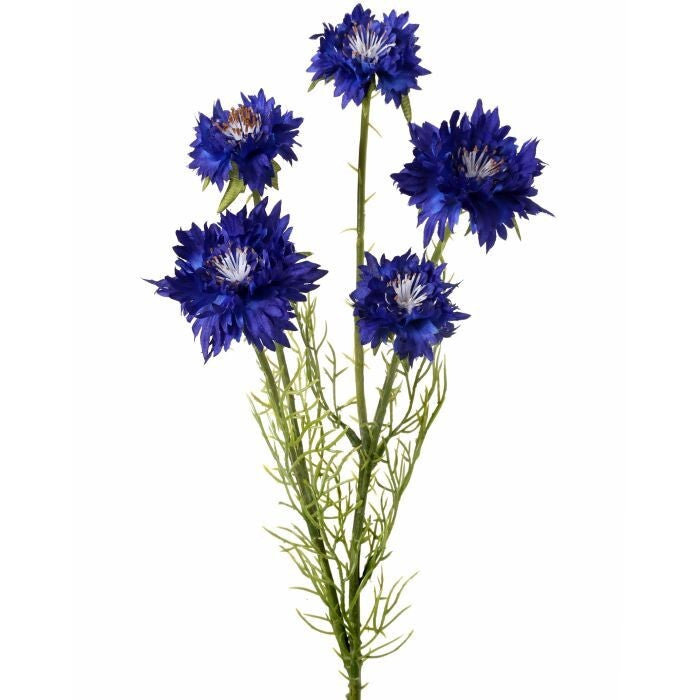 Cornflower Stem X 5 22"