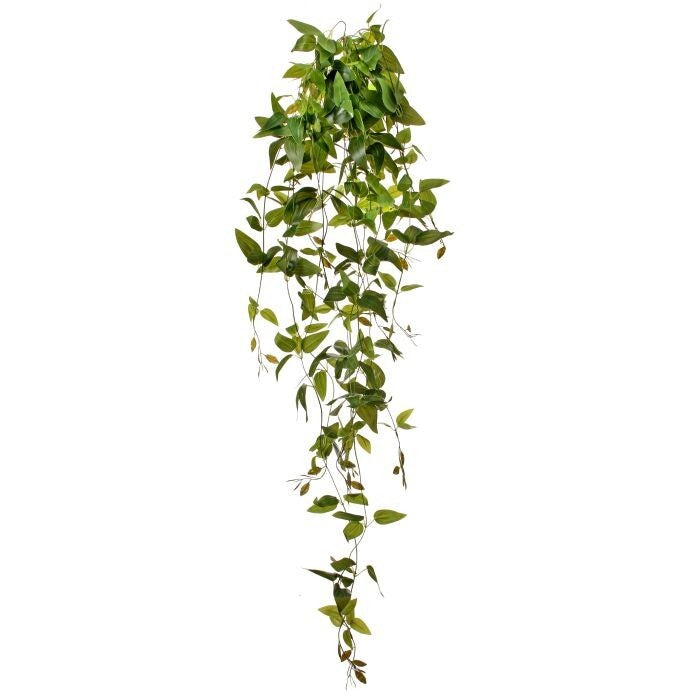 41" Pu Hanging Tradescantia Plant