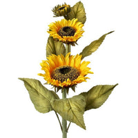 Deluxe Sunflower X2 +Bud 22