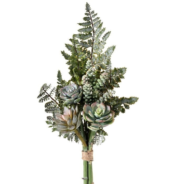 Pl.Succulent & Fern Drop 16"